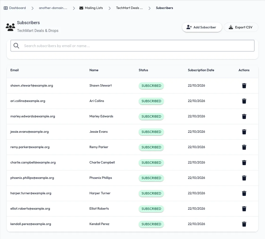 Newsletter subscribers in the dashboard
